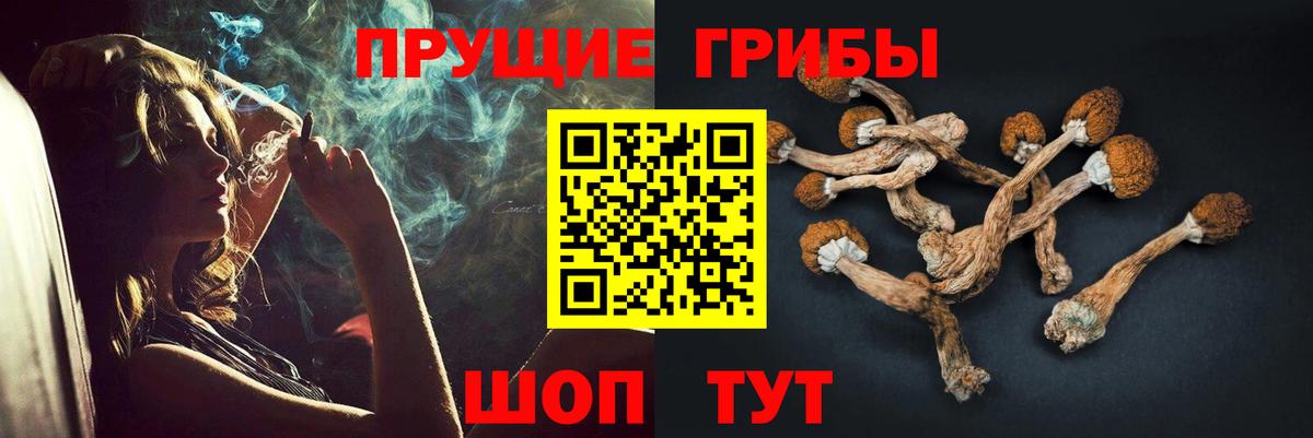 где можно купить наркотик  Вход с VPN  Кизилюрт  Псилоцибиновые грибы Psilocybe 
